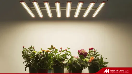 L'usine de barre à intensité variable Sepctrum complète 1000W LED élèvent la lumière pour l'éclairage de serre horticole