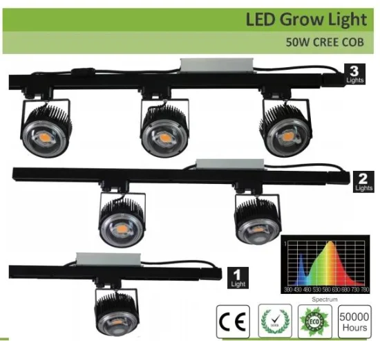 Usine 50W 100W Crees COB Cxb3590 LED élèvent la lumière 3000K spectre complet pour les plantes de serre LED élèvent la lumière