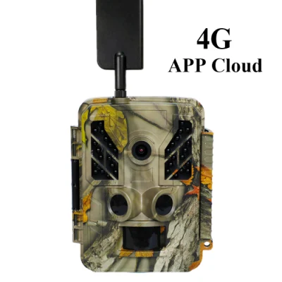 Caméra de chasse infrarouge 4G Bstcam